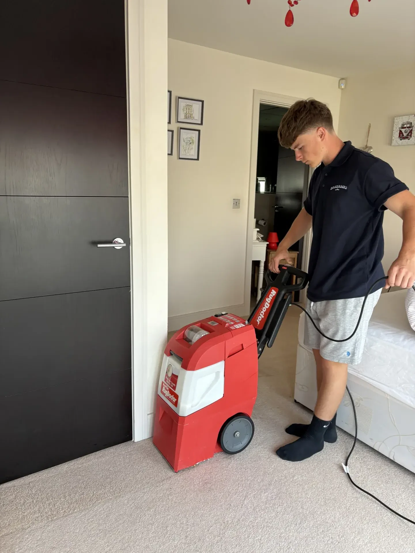 Starline apartment cleaning — carpet cleaning